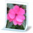 document picture png Icon